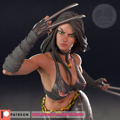 X-23